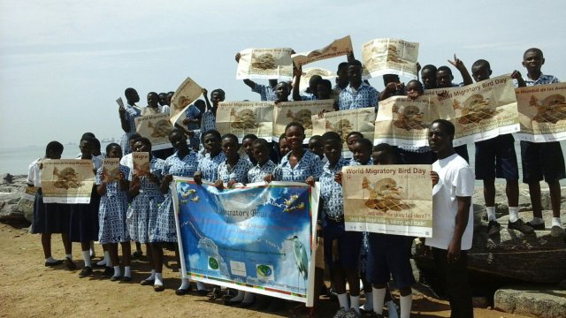 World Migratory Birds Day